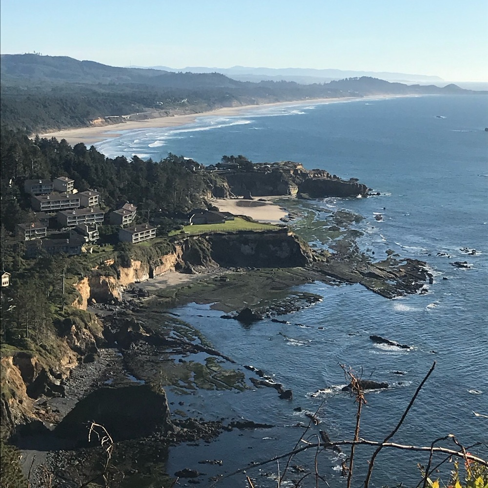 Meet your Posher, Jane